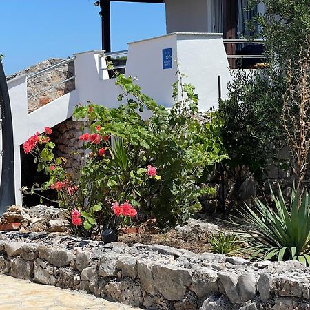 Holiday House Rusticana Sali, Dugi Otok Near Np Kornati ภายนอก รูปภาพ